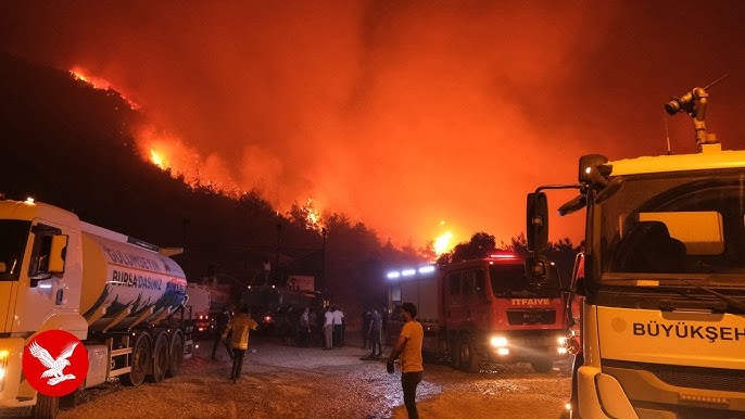 Read more about the article Raging Wildfires in Turkey and Greece Demand Urgent Insurance